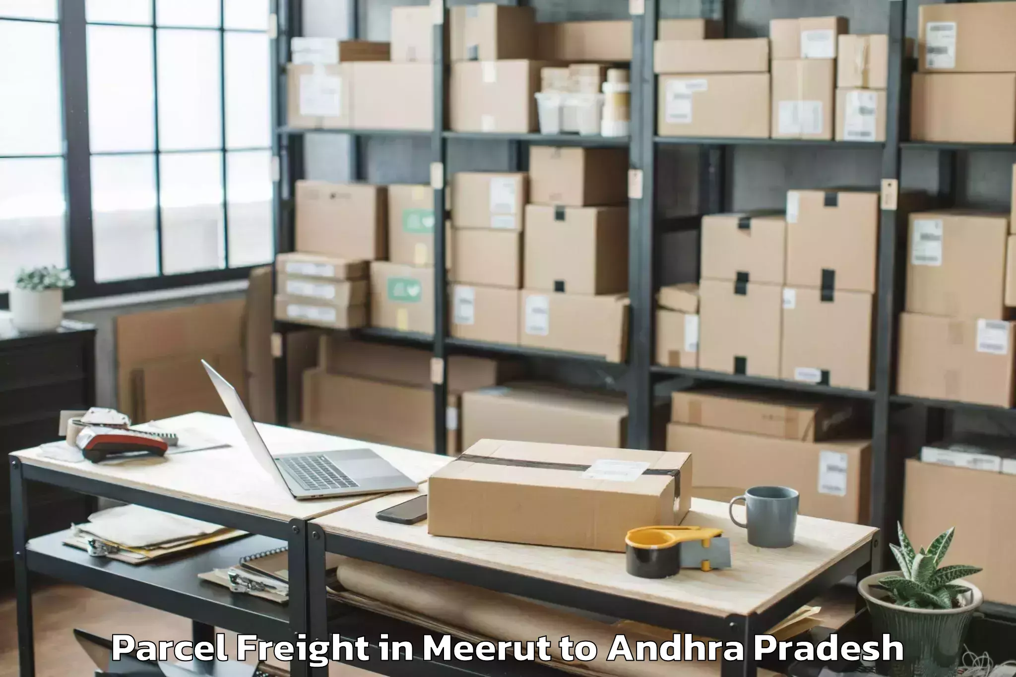 Book Meerut to Gopavaram Parcel Freight